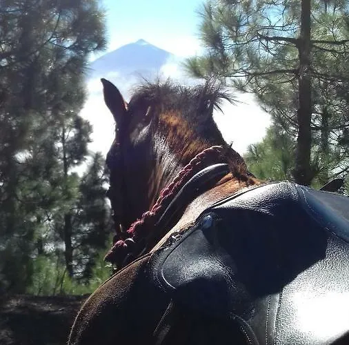 منزل ريفي Finca Rural El Pajar Santa Ursula Santa Úrsula