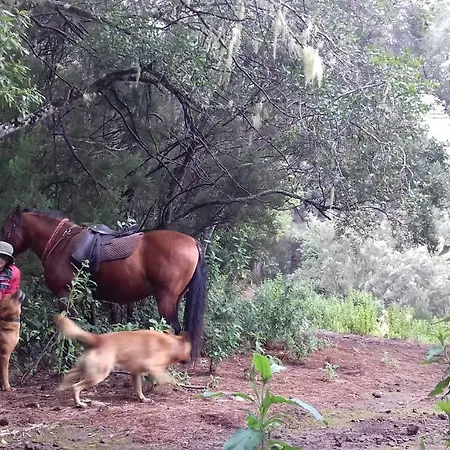 Finca Rural El Pajar Santa Ursula Летний дом