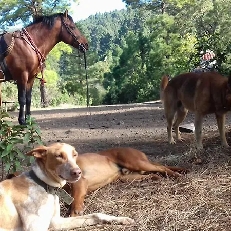 Летний дом Finca Rural El Pajar Santa Ursula *