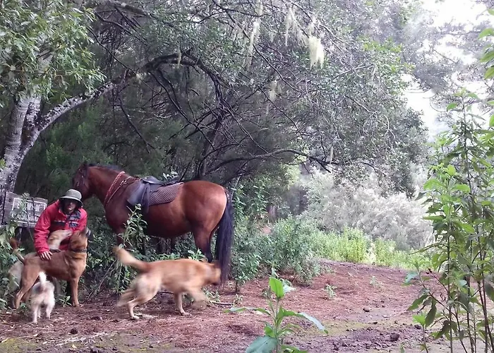 Finca Rural El Pajar Santa Ursula Летний дом